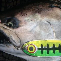 Ice Strong ProKing Magnum Spoons