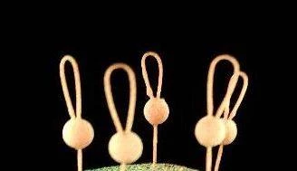 Ice Strong Outdoors SUPER GLOW ORIGINAL Ice Strong Titanium Spring Bobber 6 Ice Strong Outdoors SUPER GLOW ORIGINAL Ice Strong Titanium Spring Bobber