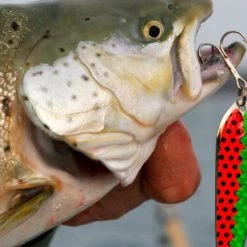 Ice Strong ProKing Regular Spoons